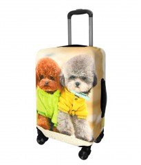 Obal na kufor H79 Pes S