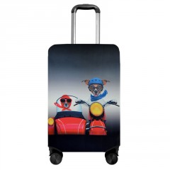 Obal na kufor H156 Sajdkára S (2)