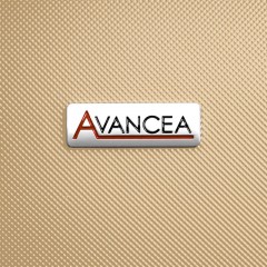 Cestovný kufor AVANCEA DE2936 Gold M (10)