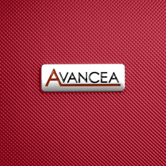 Cestovní kufr AVANCEA DE2966 Dark red L (11)